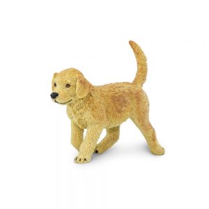 GOLDEN RETRIEVER PUPPY