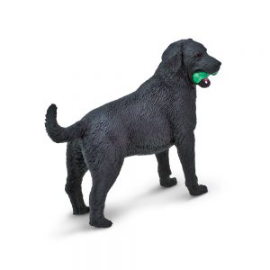 BLACK LABRADOR