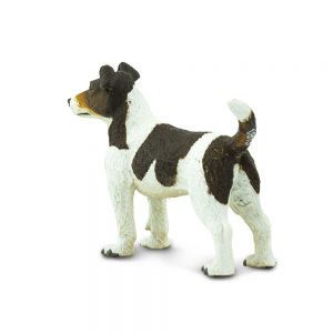 JACK RUSSELL TERRIER