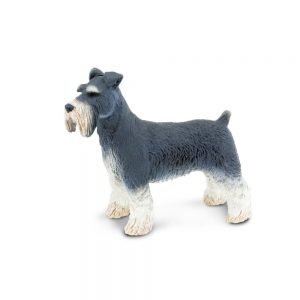 SCHNAUZER
