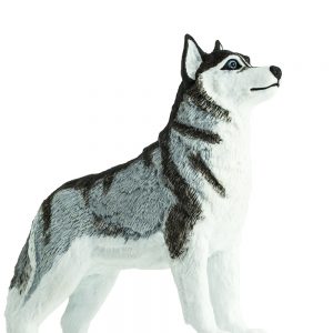 SIBERIAN HUSKY