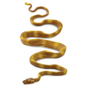 AMAZON TREE BOA