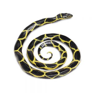 CHAIN KINGSNAKE