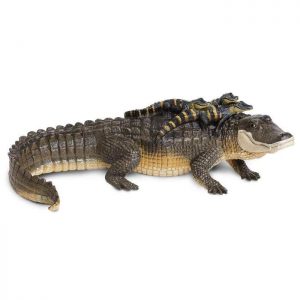 ALLIGATOR WITH BABIES