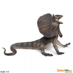 FRILLED LIZARD