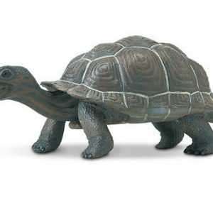 TORTOISE
