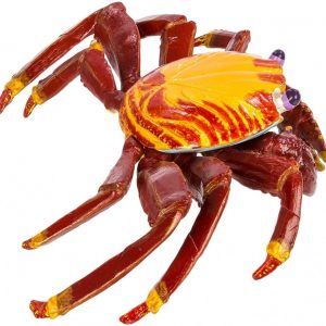 GALAPAGOS SALLY LIGHTFOOT CRAB
