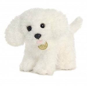 Bichon Frise Puppy