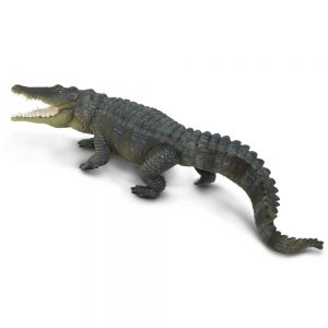 SALTWATER CROCODILE