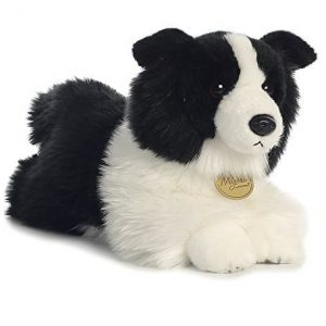 BORDER COLLIE