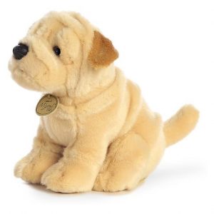 SHARPEI PUP