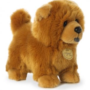 CHOW CHOW PUP