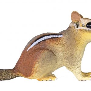 EASTERN CHIPMUNK