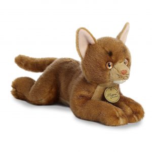 ABYSSINIAN CAT