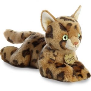 BENGAL CAT
