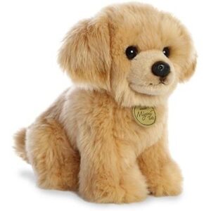Golden Retriver Pup