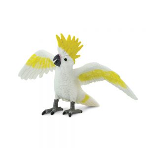 COCKATOO