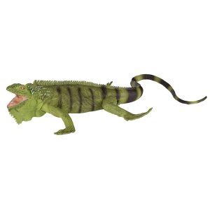 IGUANA