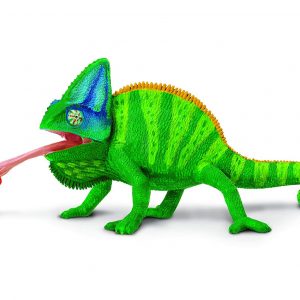 VEILED CHAMELEON