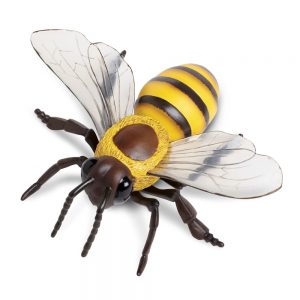 HONEY BEE