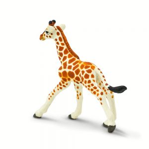 RETICULATED GIRAFFE BABY