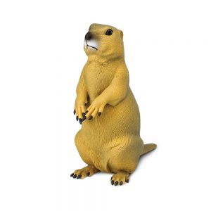 PRAIRIE DOG