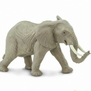 AFRICAN ELEPHANT