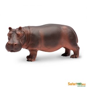 HIPPOPOTAMUS