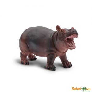 HIPPOPOTAMUS BABY