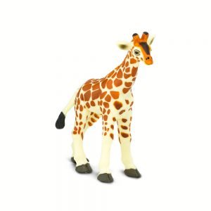GIRAFFE BABY