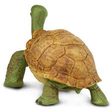 GIANT TORTOISE