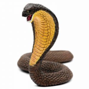 COBRA
