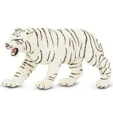 WHITE  BENGAL TIGER
