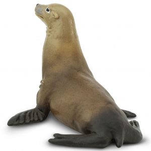 SEA LION
