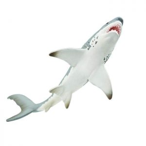 GREAT WHITE SHARK