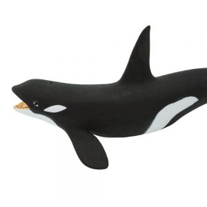 KILLER WHALE