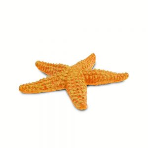 STARFISH