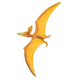 PTERANODON