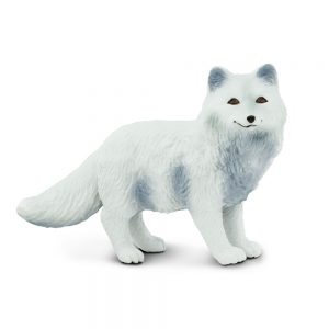 ARCTIC FOX
