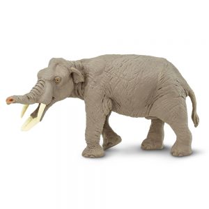AMEBELODON