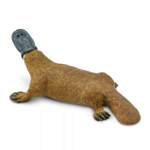 PLATYPUS