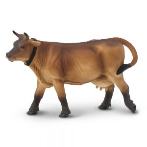 JERSEY COW