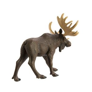 MOOSE