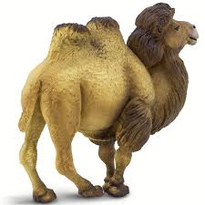 BACTRIAN CAMEL