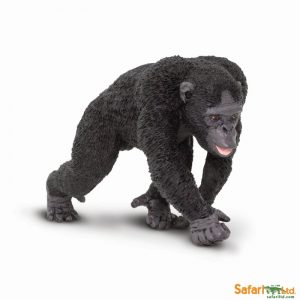 CHIMPANZEE WITH BABY