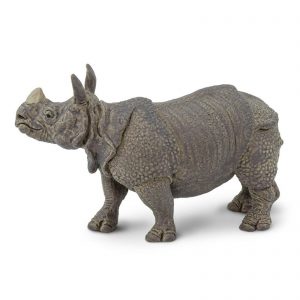 INDIAN RHINO