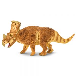 VAGACERATOPS