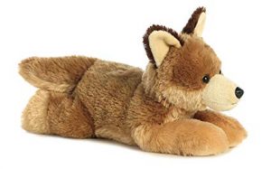 COYOTE