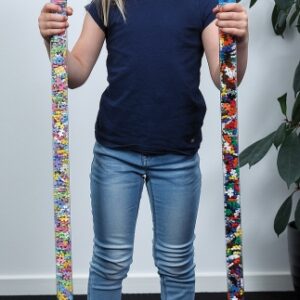 PLUS PLUS BASIC 1 METER 520 PCS TUBE