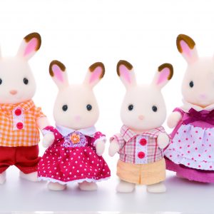 Chocolate Rabbit Family